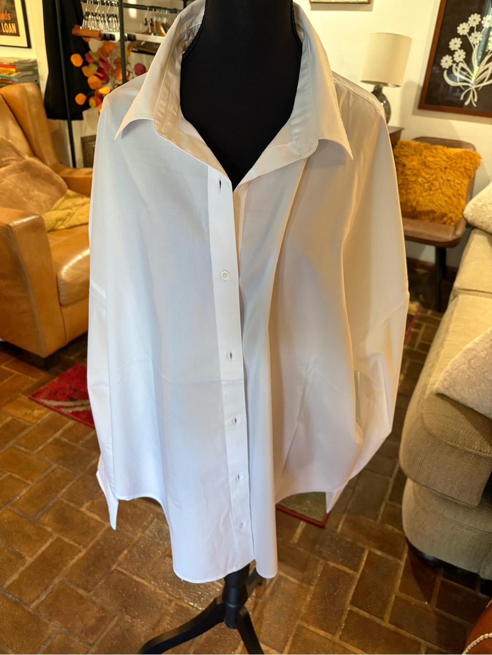 Express Women Button Down